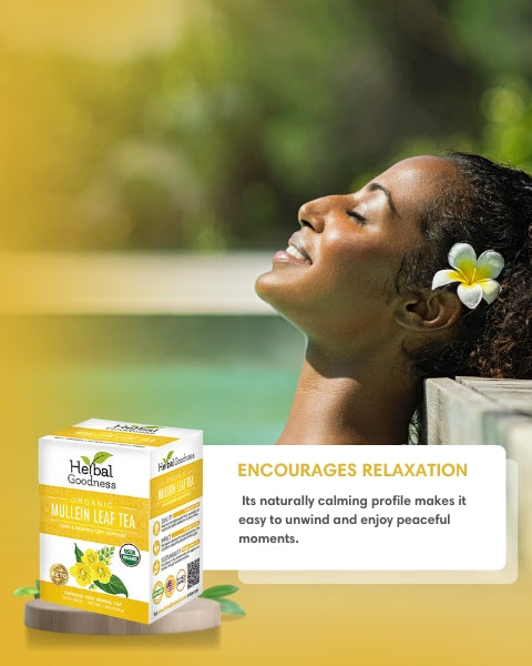 Mullein Leaf Tea - Organic 24 Tea Bags - Respiratory & Lung