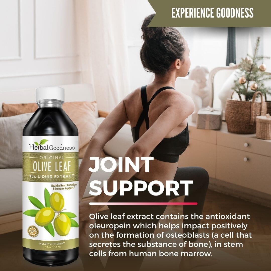 Olive Leaf Extract Liquid - 15X Strength - Herbal Goodness Liquid Extract Herbal Goodness 