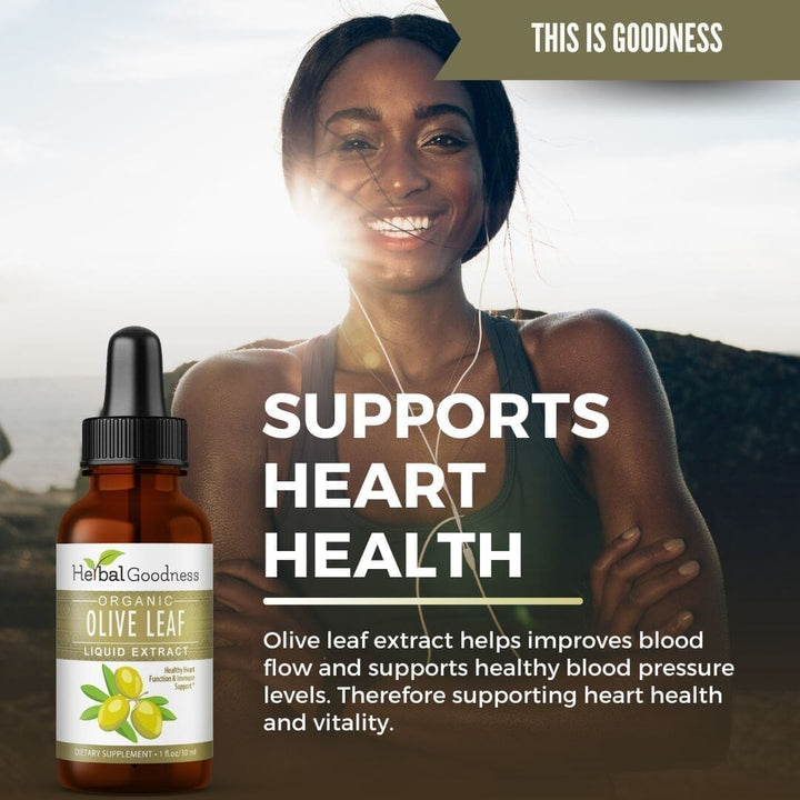 Olive Leaf - Organic 1oz 15X Liquid Extract - Immunity & Performance Liquid Extract Herbal Goodness 