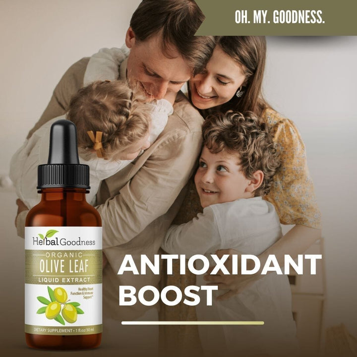 Olive Leaf - Organic 1oz 15X Liquid Extract - Immunity & Performance Liquid Extract Herbal Goodness 