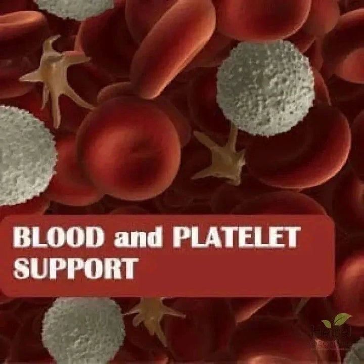Papaya Leaf Extract Blood Support - Liquid Tincture - Herbal Goodness Liquid Extract Herbal Goodness 