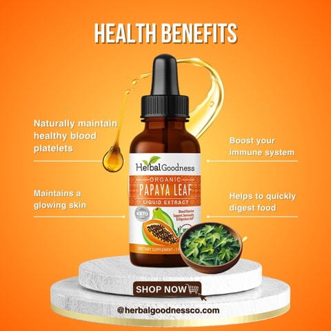 Papaya Leaf Extract - Organic - Liquid 1oz - Blood Platelets, Digestion & Immunity - Herbal Goodness Liquid Extract Herbal Goodness 
