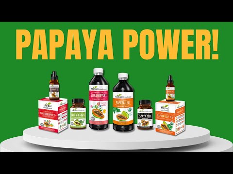 Green Papaya Fruit Extract - Capsules 60/600mg - 4X Strength - Digestion & Enzyme Level Support - Herbal Goodness