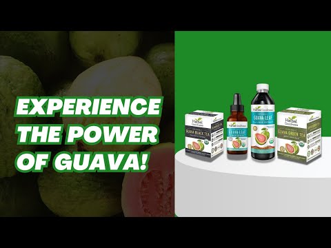 Guava Green Tea - 24/2g - Organic - Immunity & Brain Health - Herbal Goodness