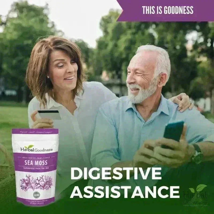 Sea Moss - Raw Dried Gold & Purple St Lucia Bulk Herb Herbal Goodness 