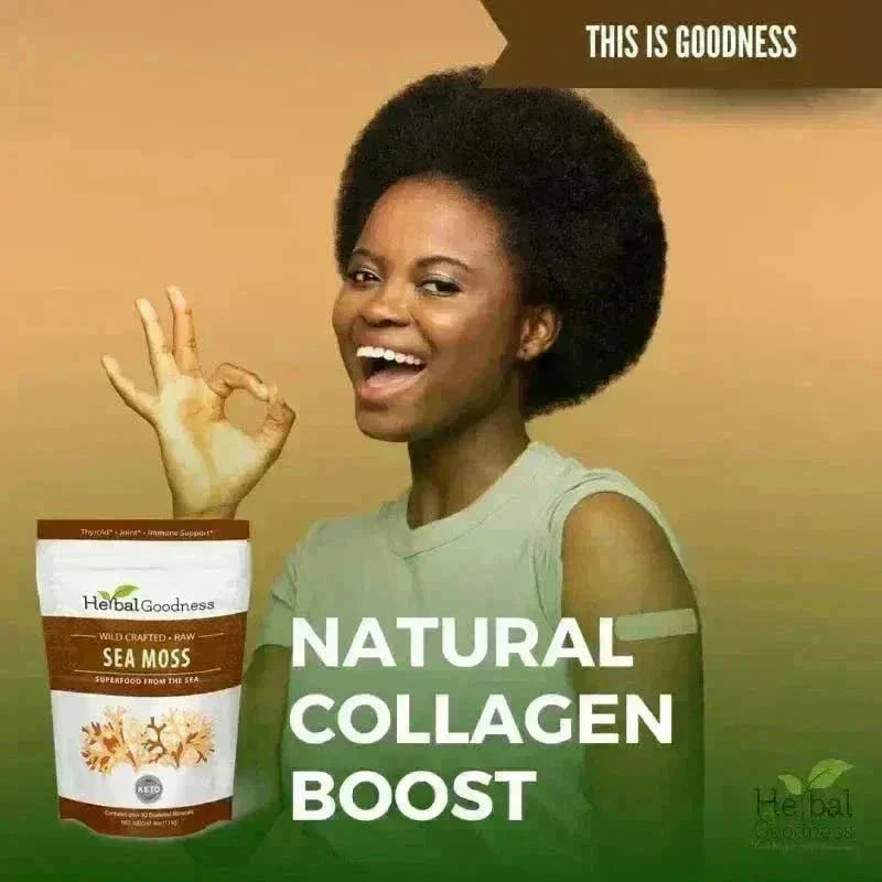 Sea Moss - Raw Dried from St Lucia - 8oz Bag - Nature's MultiVitamins Bulk Herb Herbal Goodness 