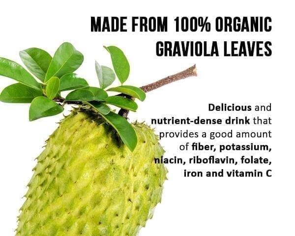 Soursop Graviola Leaf Tea - 100% Organic - Cell rejuvination Herbal Goodness 