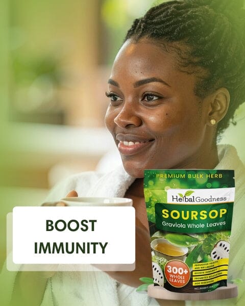 Soursop Graviola Leaf (Whole Leaves) - Organic - 300 + Leaves - Immune & Wellness Support Bulk Herb Herbal Goodness 