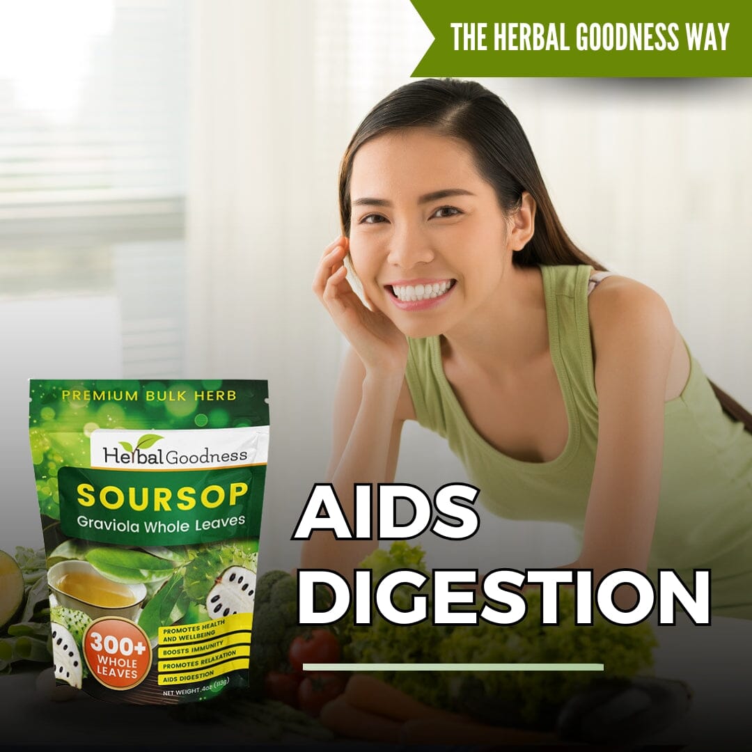 Soursop Graviola Leaf (Whole Leaves) - Organic - 300 + Leaves - Immune & Wellness Support Bulk Herb Herbal Goodness 