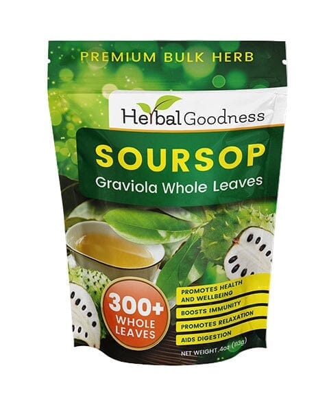 Soursop Graviola Leaf (Whole Leaves) - Organic - 300 + Leaves - Immune & Wellness Support Bulk Herb Herbal Goodness 