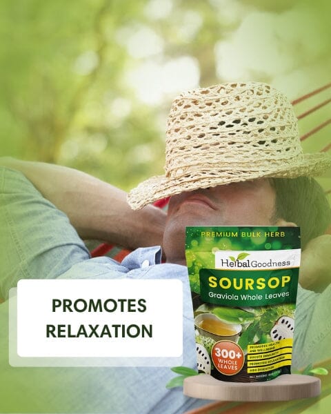 Soursop Graviola Leaf (Whole Leaves) - Organic - 300 + Leaves - Immune & Wellness Support Bulk Herb Herbal Goodness 