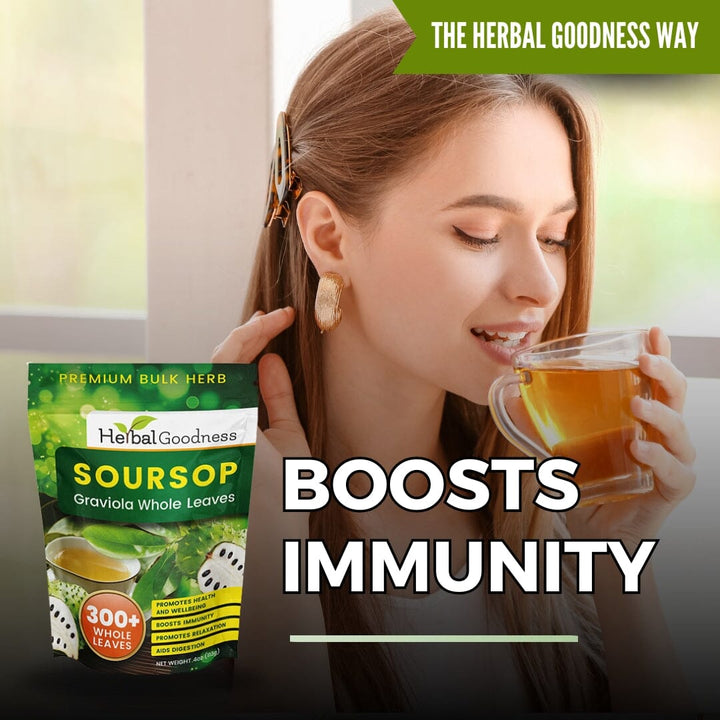 Soursop Graviola Leaf (Whole Leaves) - Organic - 300 + Leaves - Immune & Wellness Support Bulk Herb Herbal Goodness 