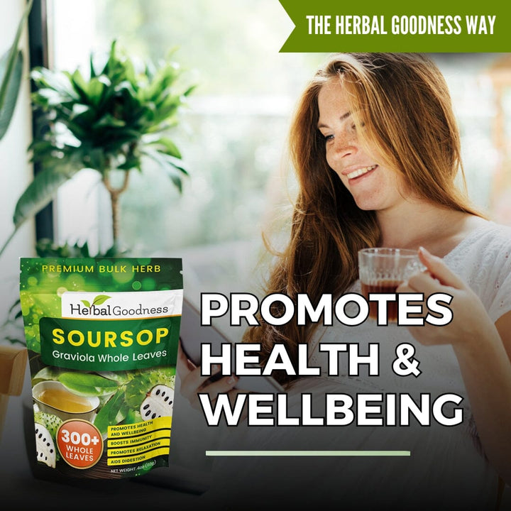 Soursop Graviola Leaf (Whole Leaves) - Organic - 300 + Leaves - Immune & Wellness Support Bulk Herb Herbal Goodness 