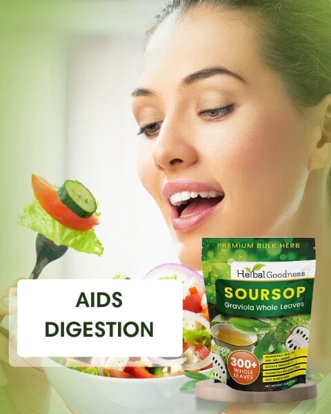 Soursop Graviola Leaf (Whole Leaves) - Organic - 300 + Leaves - Immune & Wellness Support Bulk Herb Herbal Goodness 