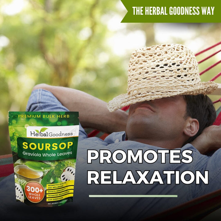 Soursop Graviola Leaf (Whole Leaves) - Organic - 300 + Leaves - Immune & Wellness Support Bulk Herb Herbal Goodness 