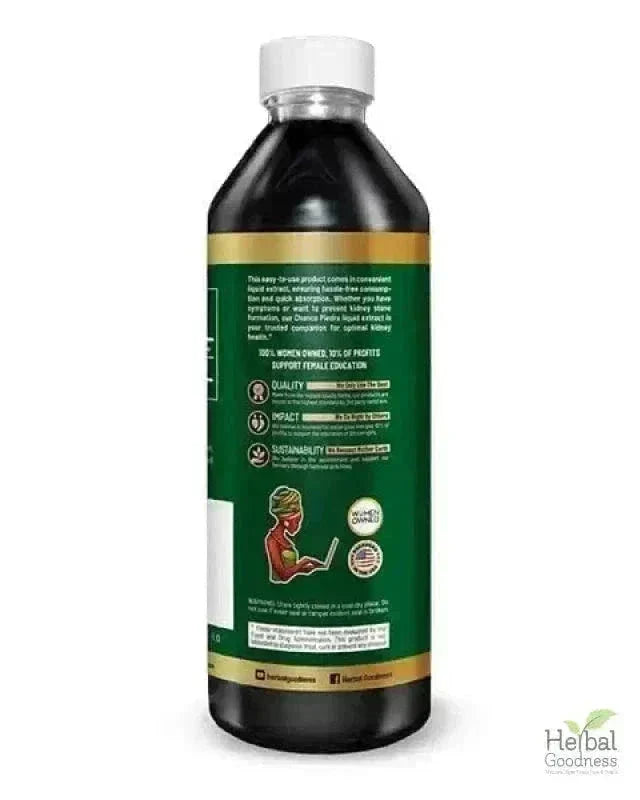 Stone Breaker Chanca Piedra Extract 15X Strength - Liquid Liquid Extract Herbal Goodness 