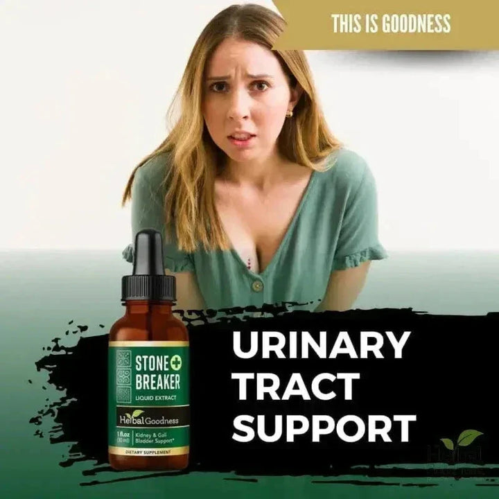 Stone Breaker Chanca Piedra Extract 15X Strength - Liquid - Herbal Goodness Liquid Extract Herbal Goodness 