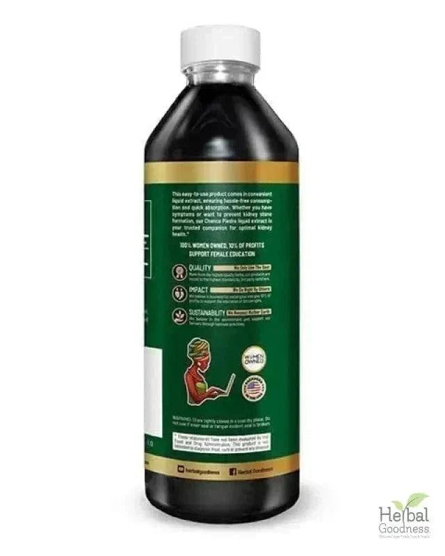 Stone Breaker Chanca Piedra Extract 15X Strength - Liquid - Herbal Goodness Liquid Extract Herbal Goodness 