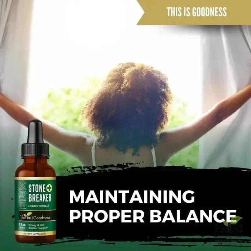 Stone Breaker Chanca Piedra Extract 15X Strength - Liquid - Herbal Goodness Liquid Extract Herbal Goodness 