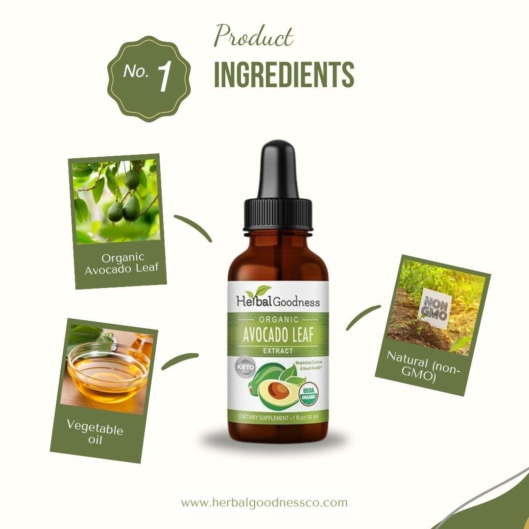 Avocado Leaf Extract - Organic - Liquid 12oz - Bone health & Immune support - Herbal Goodness Liquid Extract Herbal Goodness 