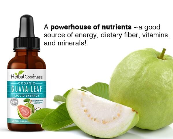 Guava Leaf Extract - Organic - Liquid 12oz - Sleep & Relaxation - Herbal Goodness Liquid Extract Herbal Goodness 