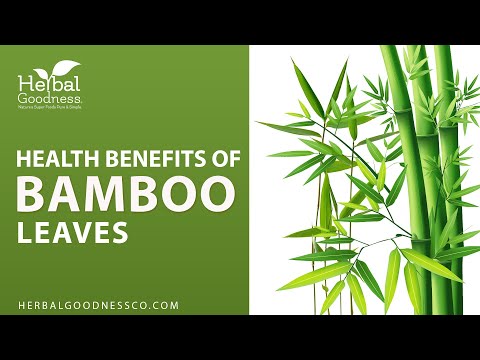 Bamboo Leaf Extract- Liquid - Bone, Hair, Skin & Nails - Herbal Goodness
