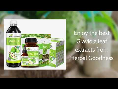 Graviola Soursop leaf extract and tea